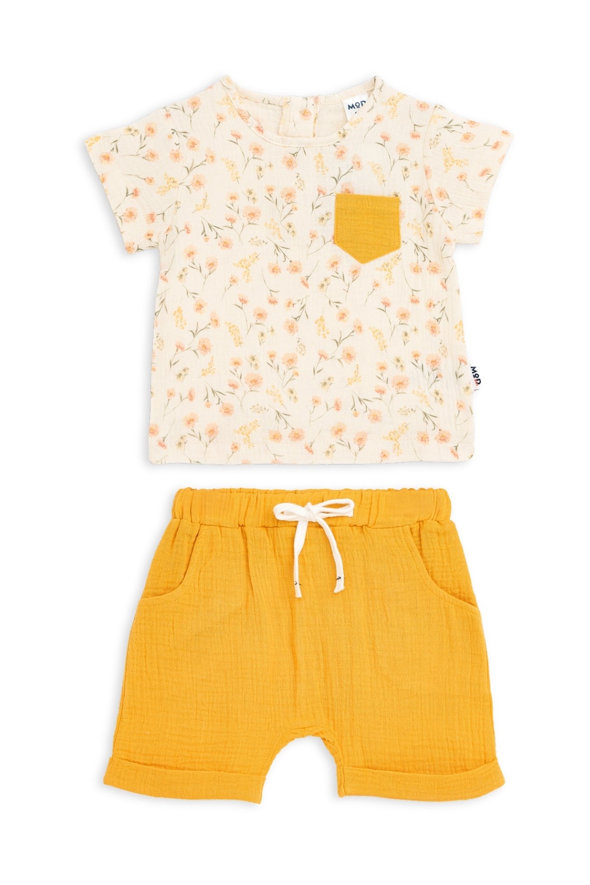 Collection of  in a gallery layout