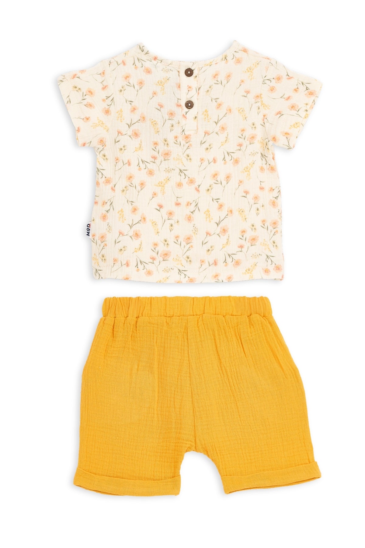 Collection of  in a gallery layout