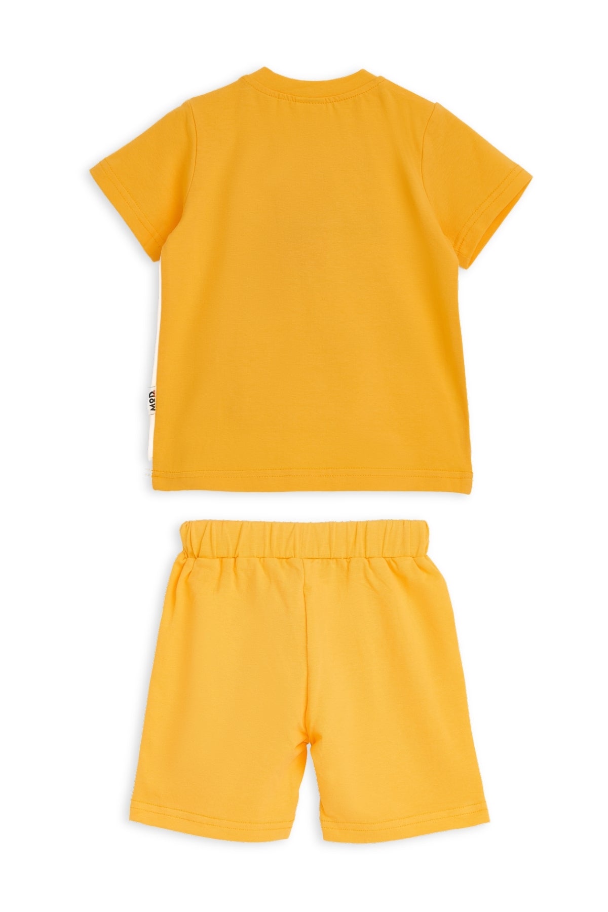 Collection of  in a gallery layout