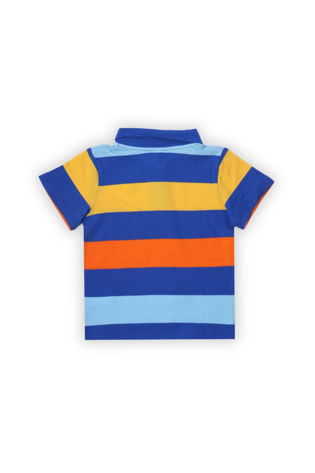 Collection of  in a gallery layout