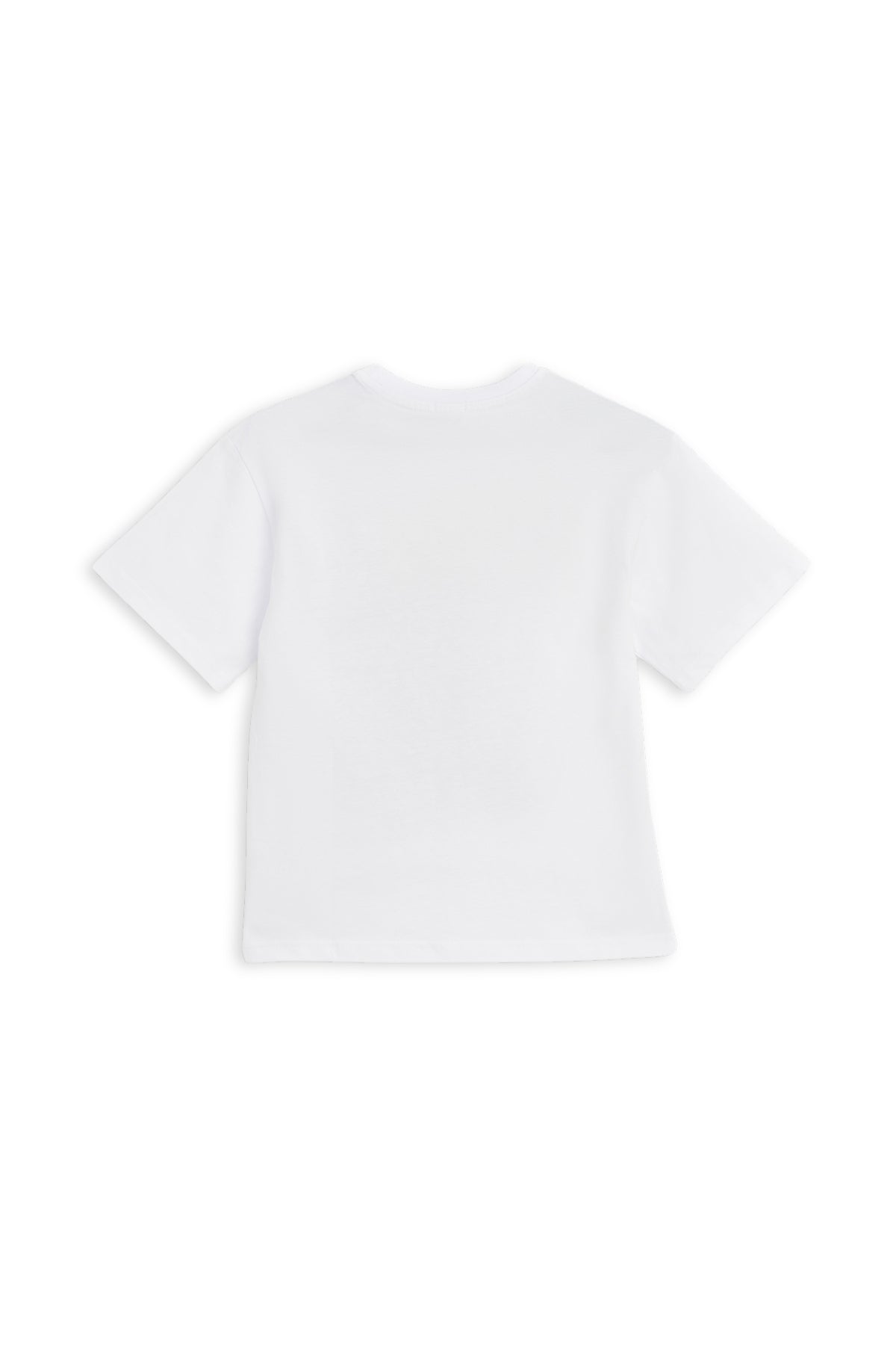 Collection of  in a gallery layout