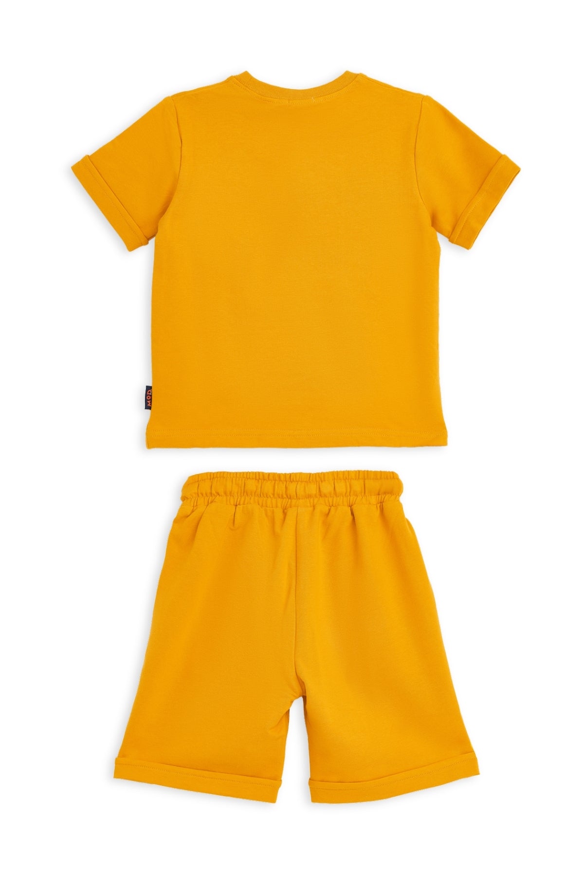 Collection of  in a gallery layout