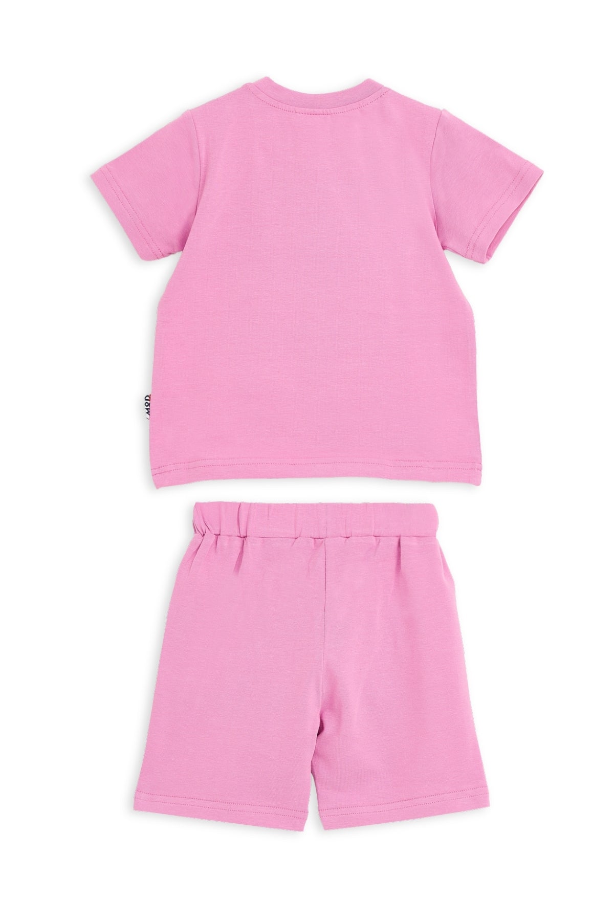 Collection of  in a gallery layout