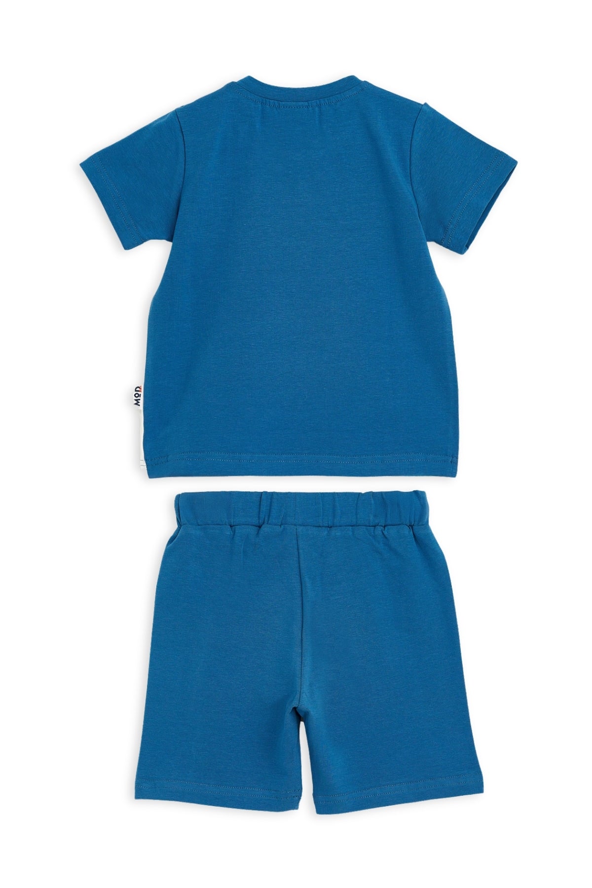 Collection of  in a gallery layout