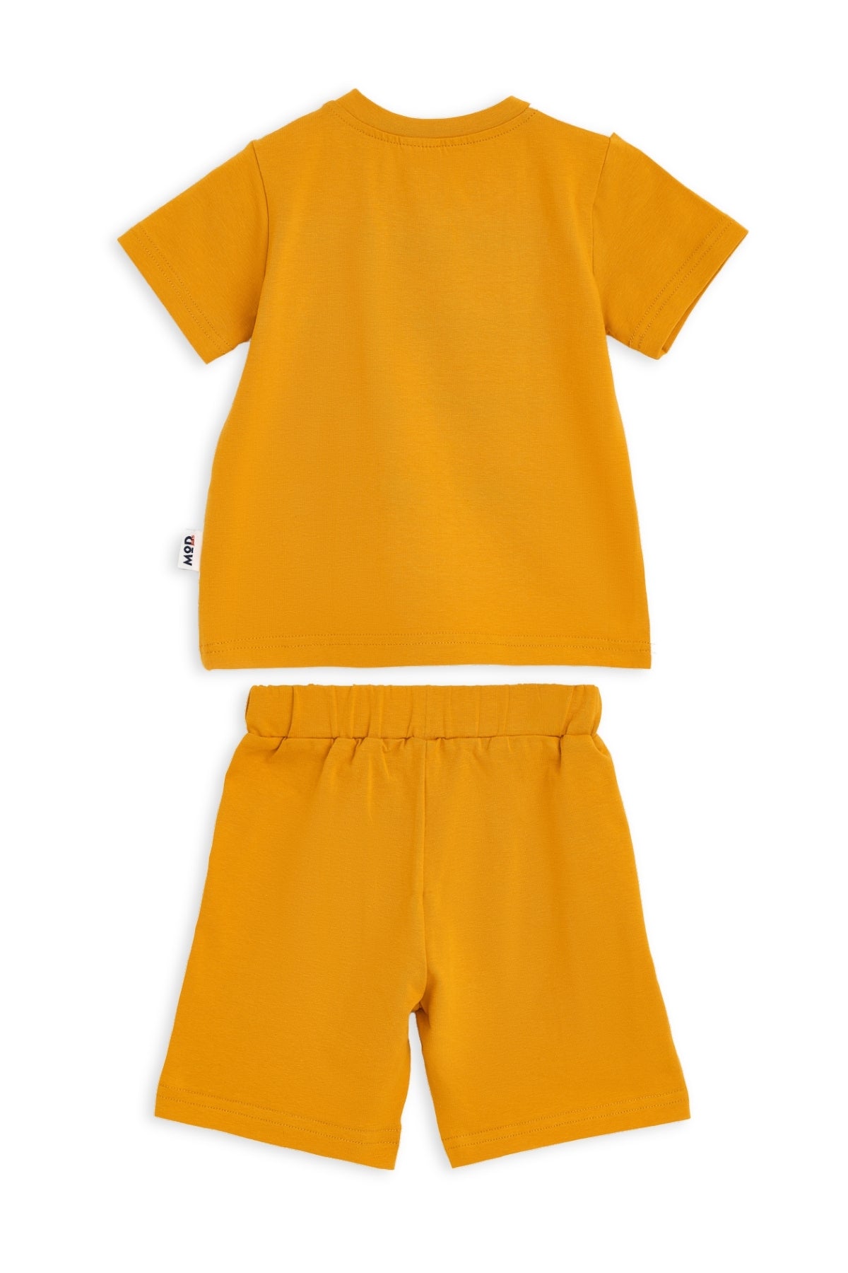 Collection of  in a gallery layout