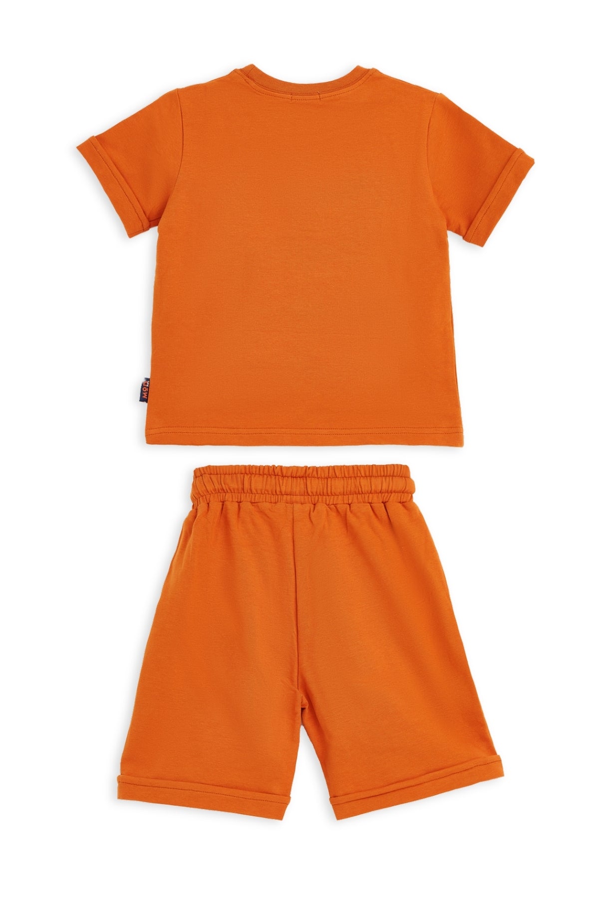 Collection of  in a gallery layout