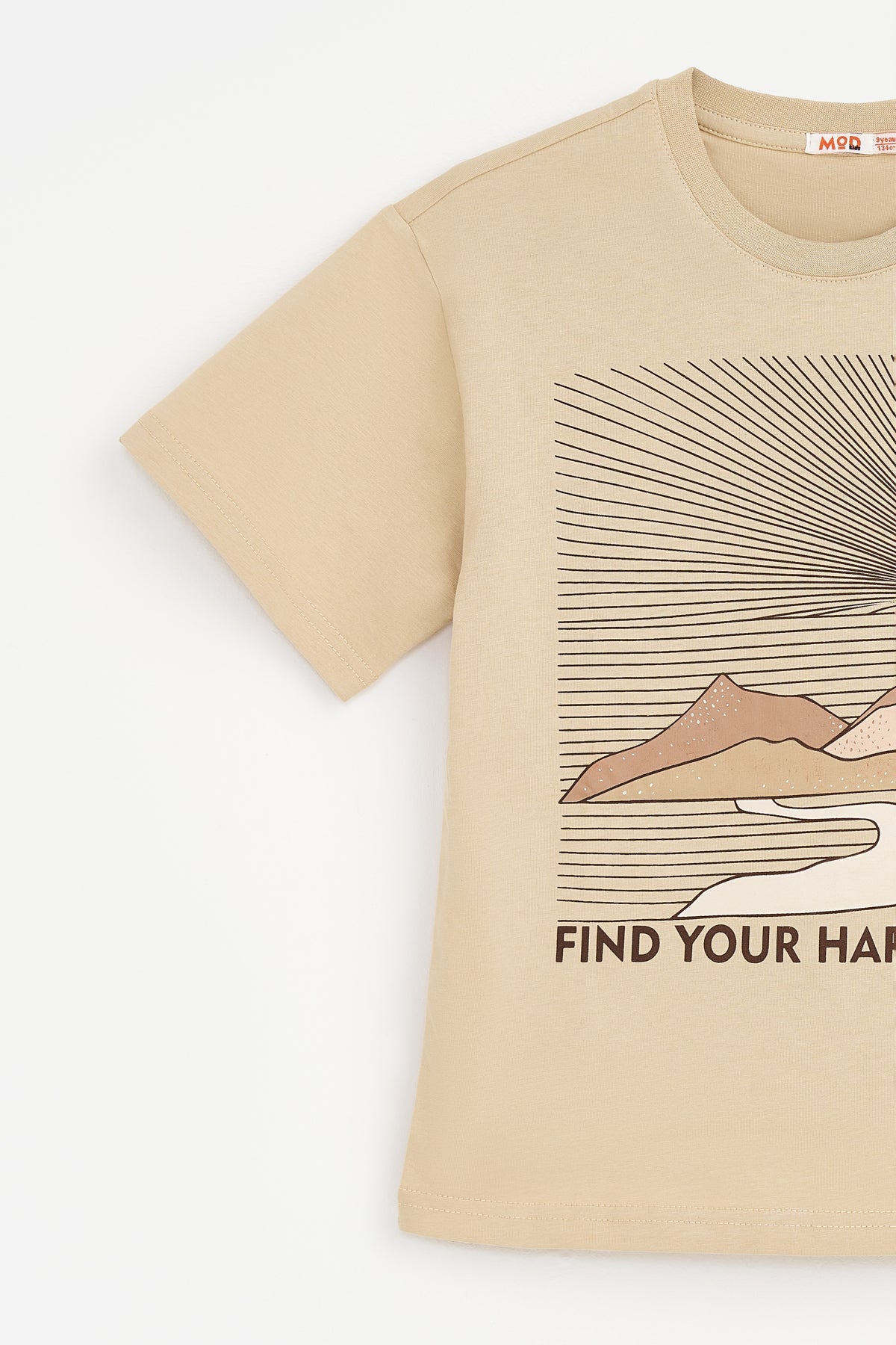 Collection of  in a gallery layout