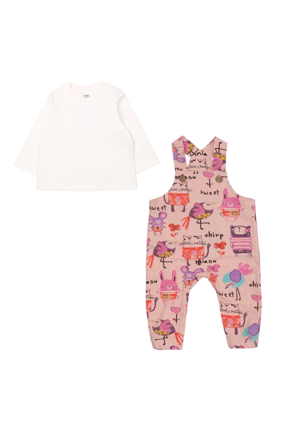 Collection of  in a gallery layout