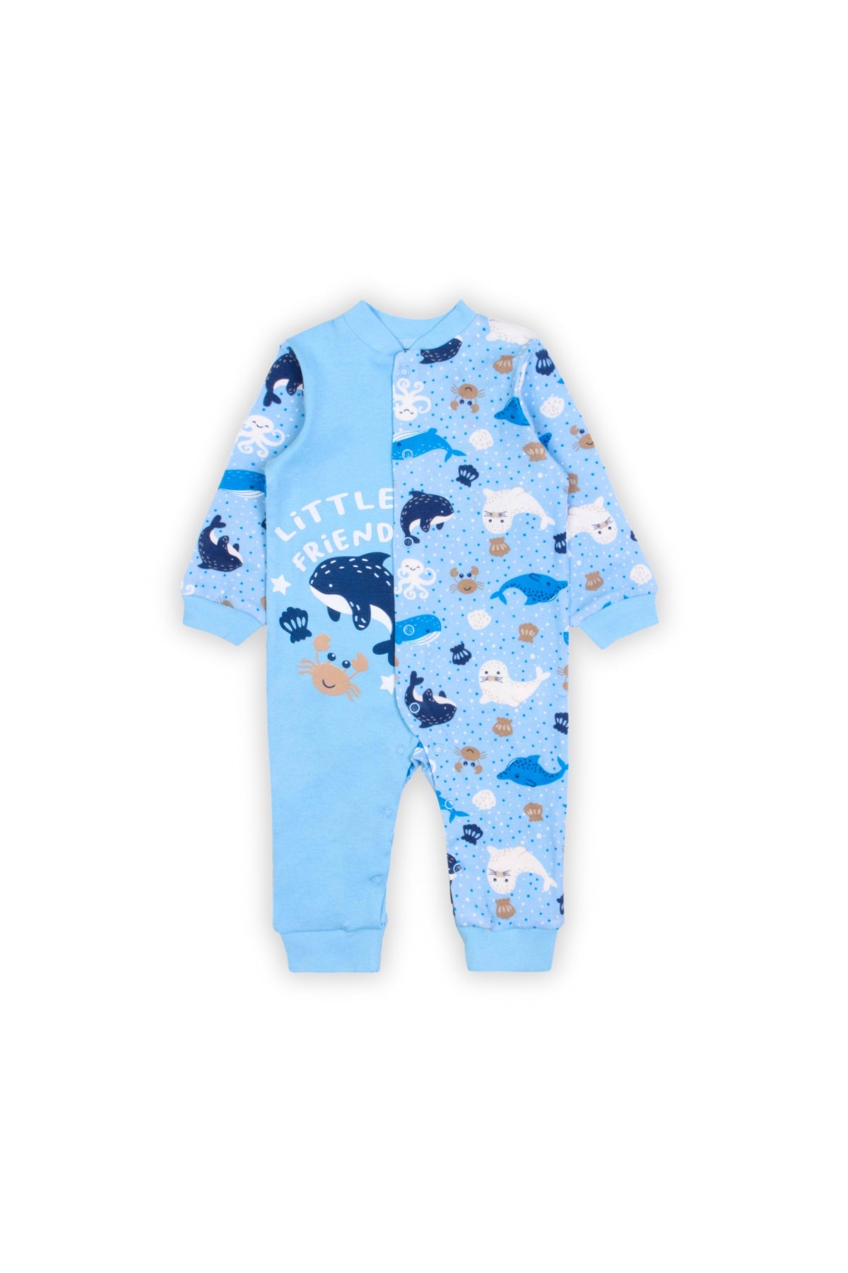 Collection of  in a gallery layout