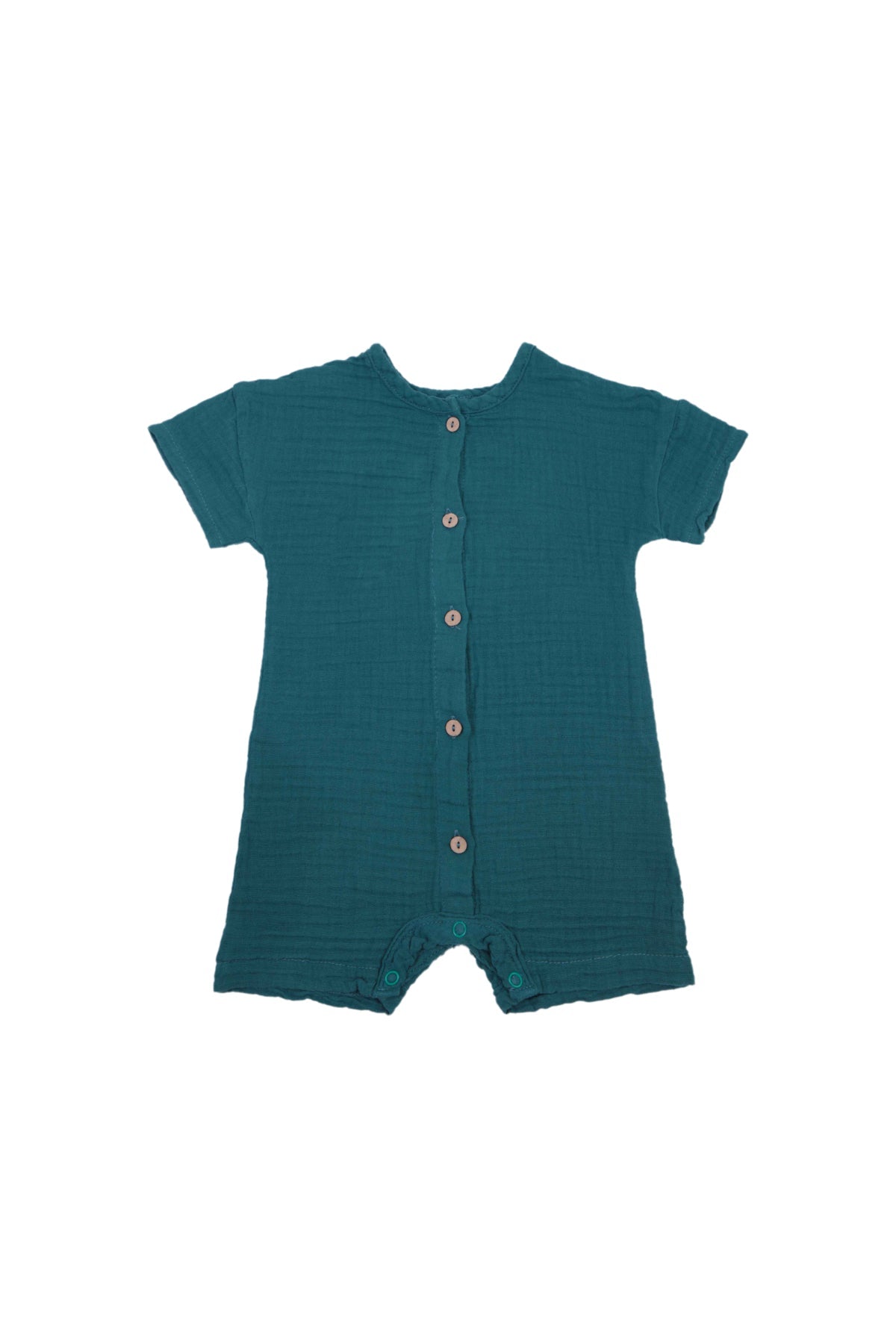 Collection of  in a gallery layout