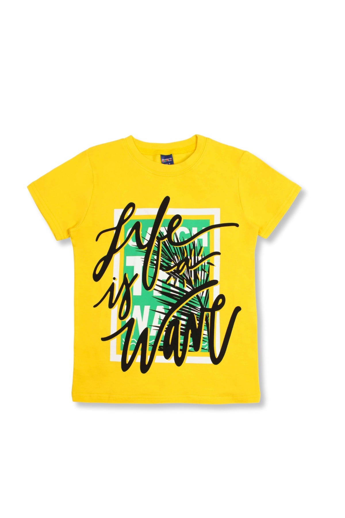 Collection of  in a gallery layout