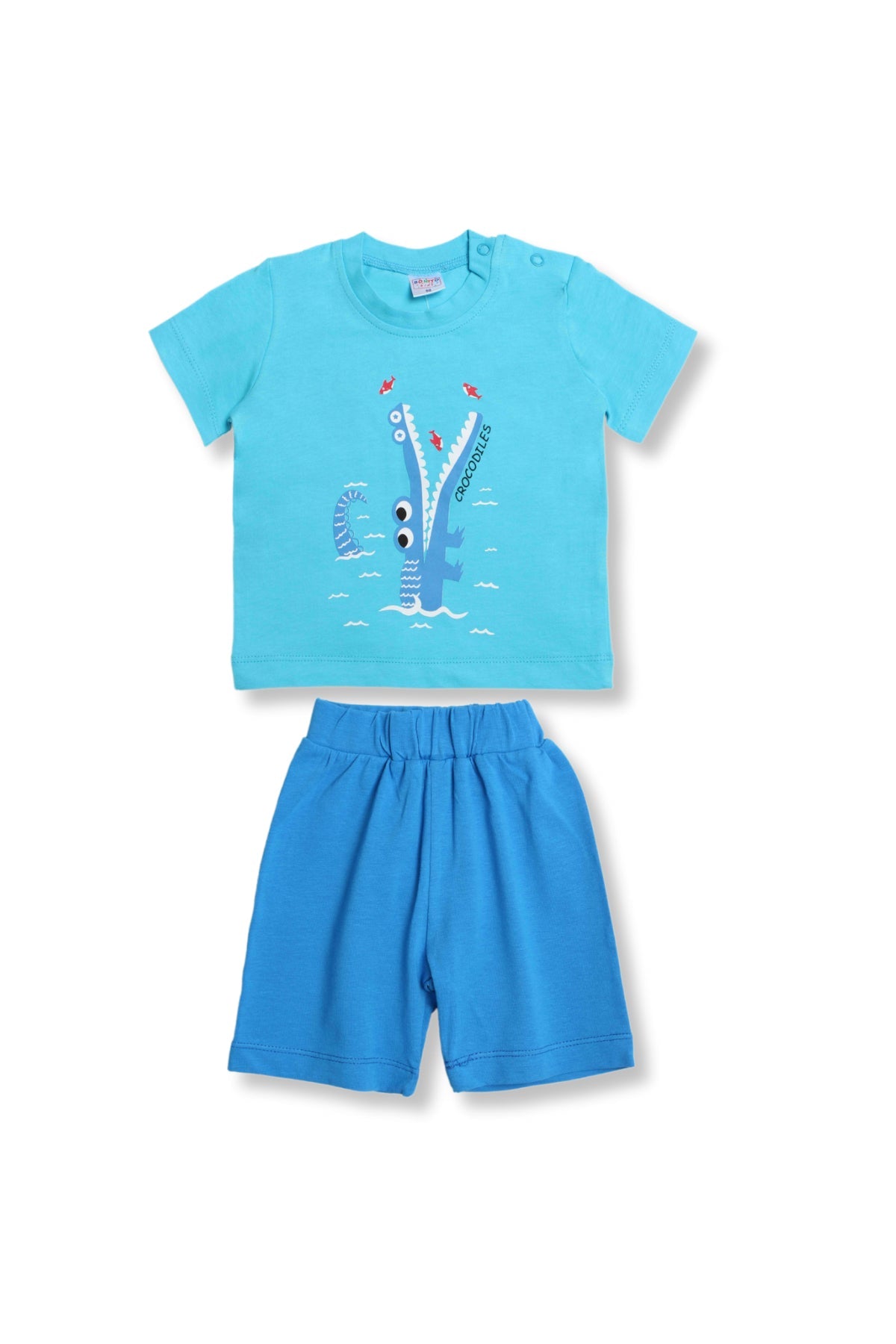 Collection of  in a gallery layout