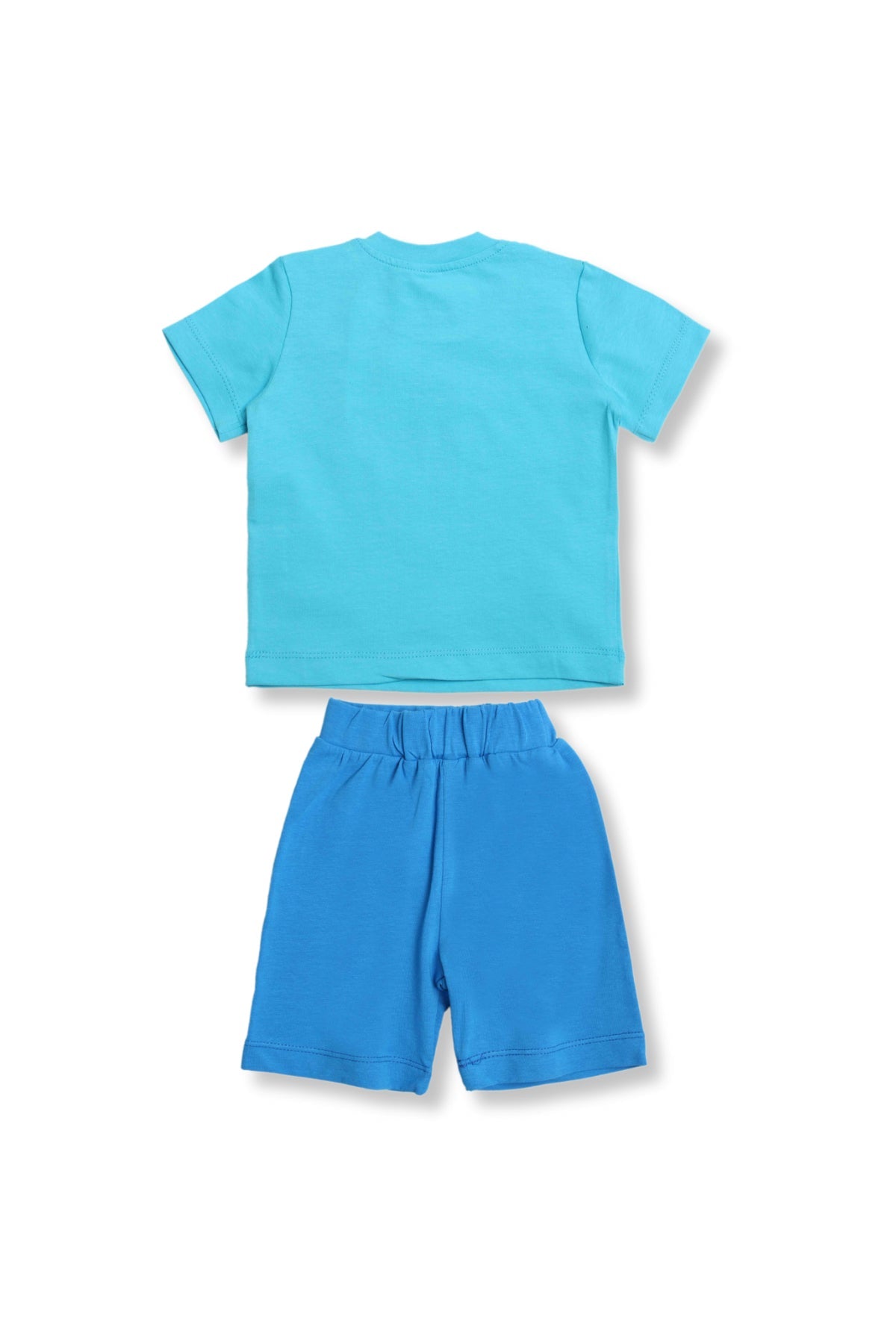 Collection of  in a gallery layout