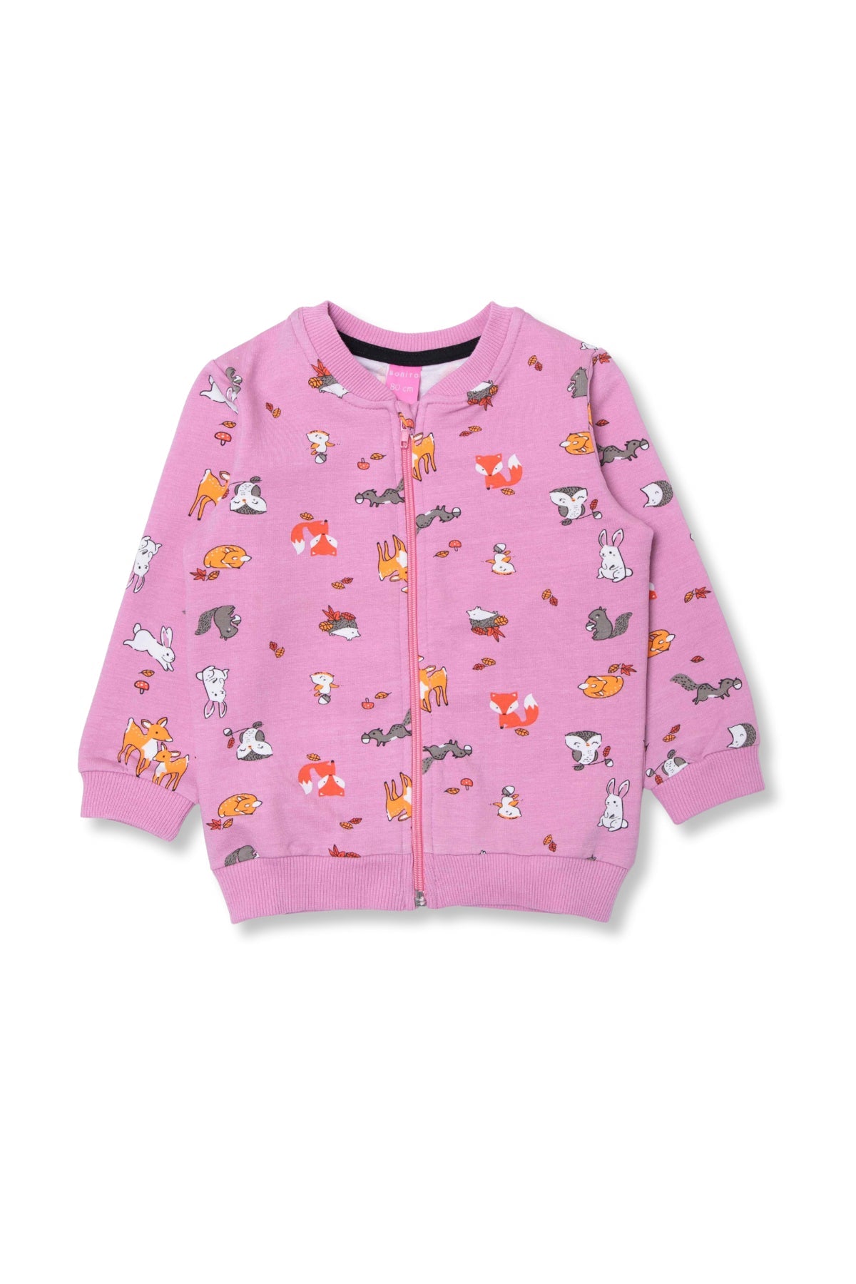 Collection of  in a gallery layout