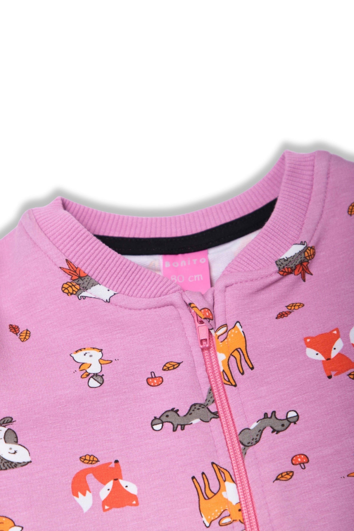 Collection of  in a gallery layout