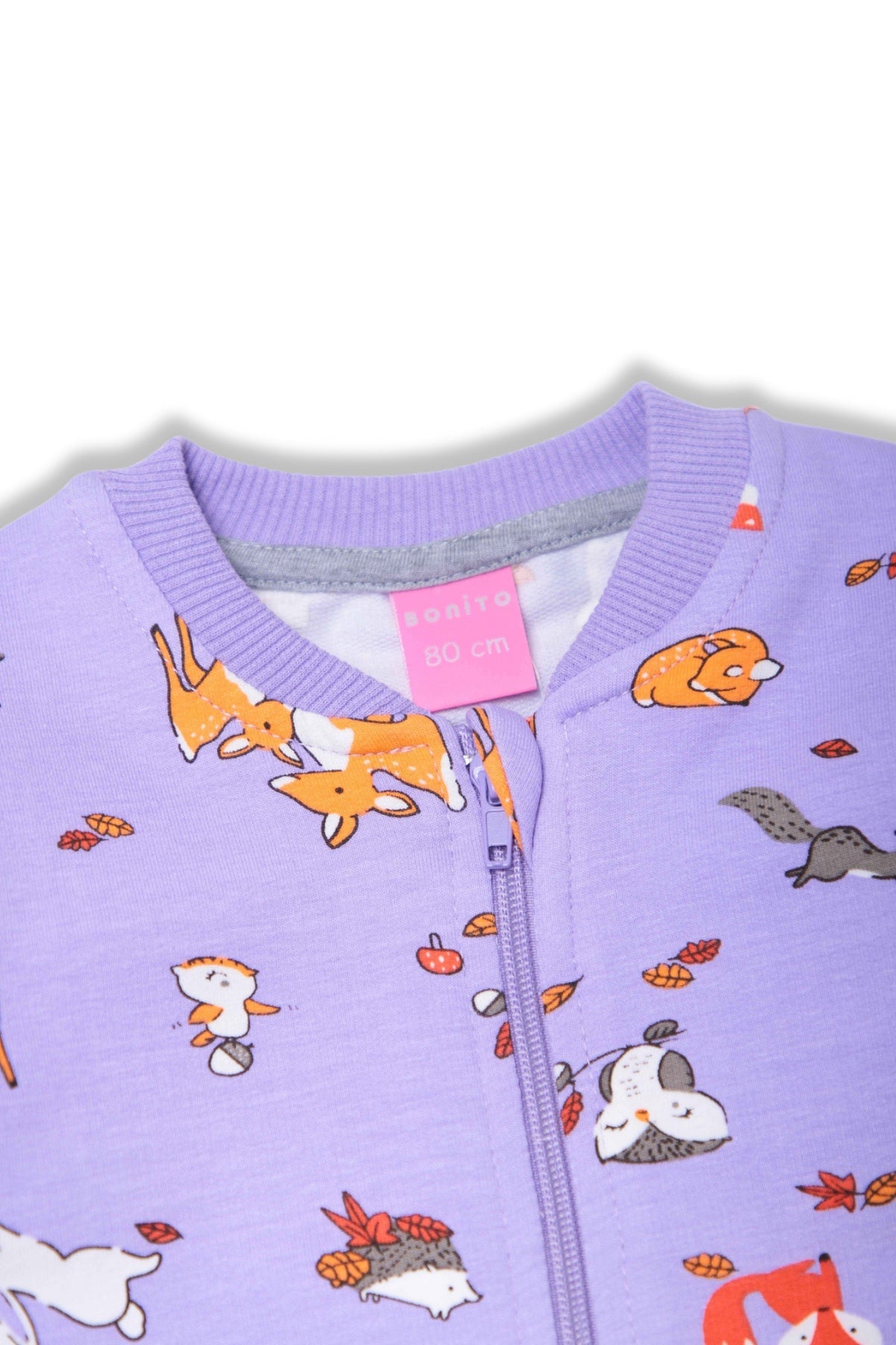 Collection of  in a gallery layout