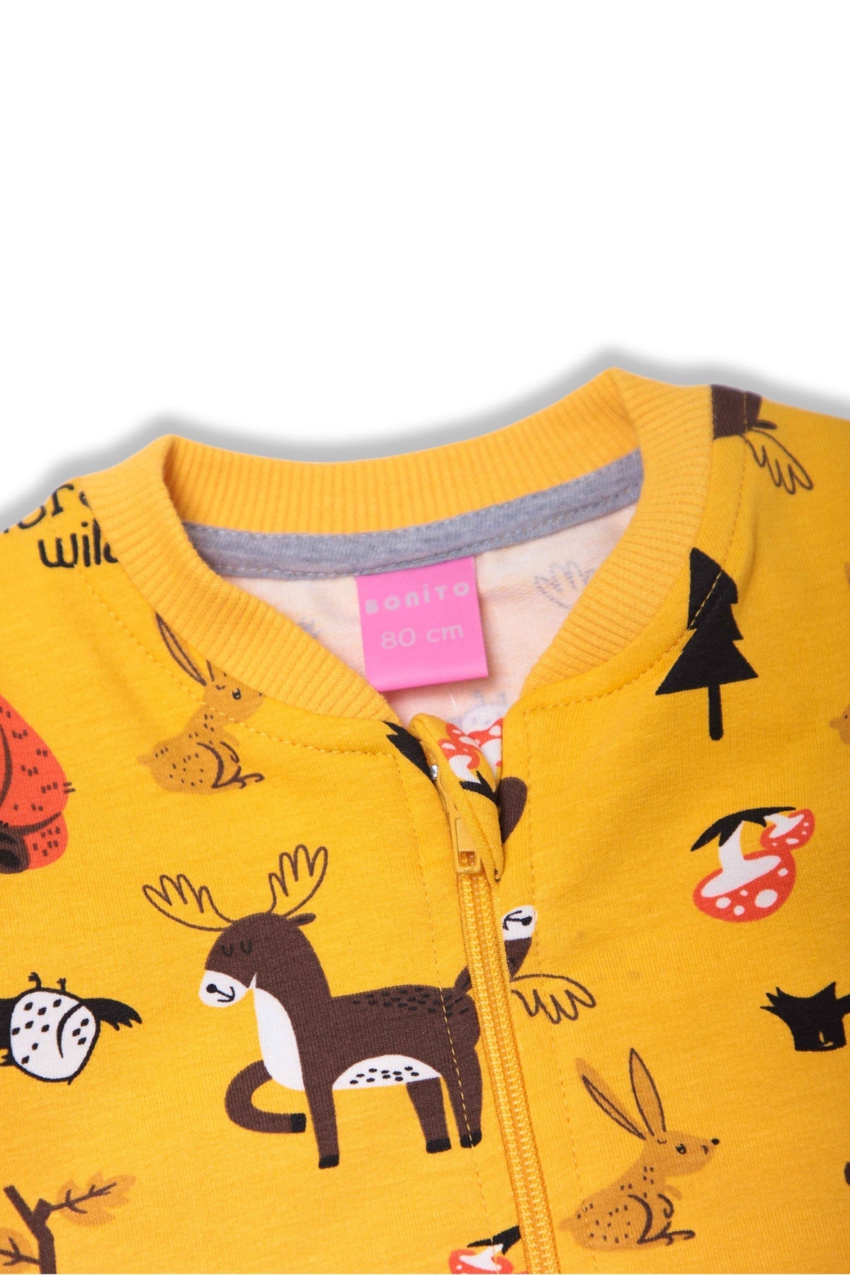 Collection of  in a gallery layout