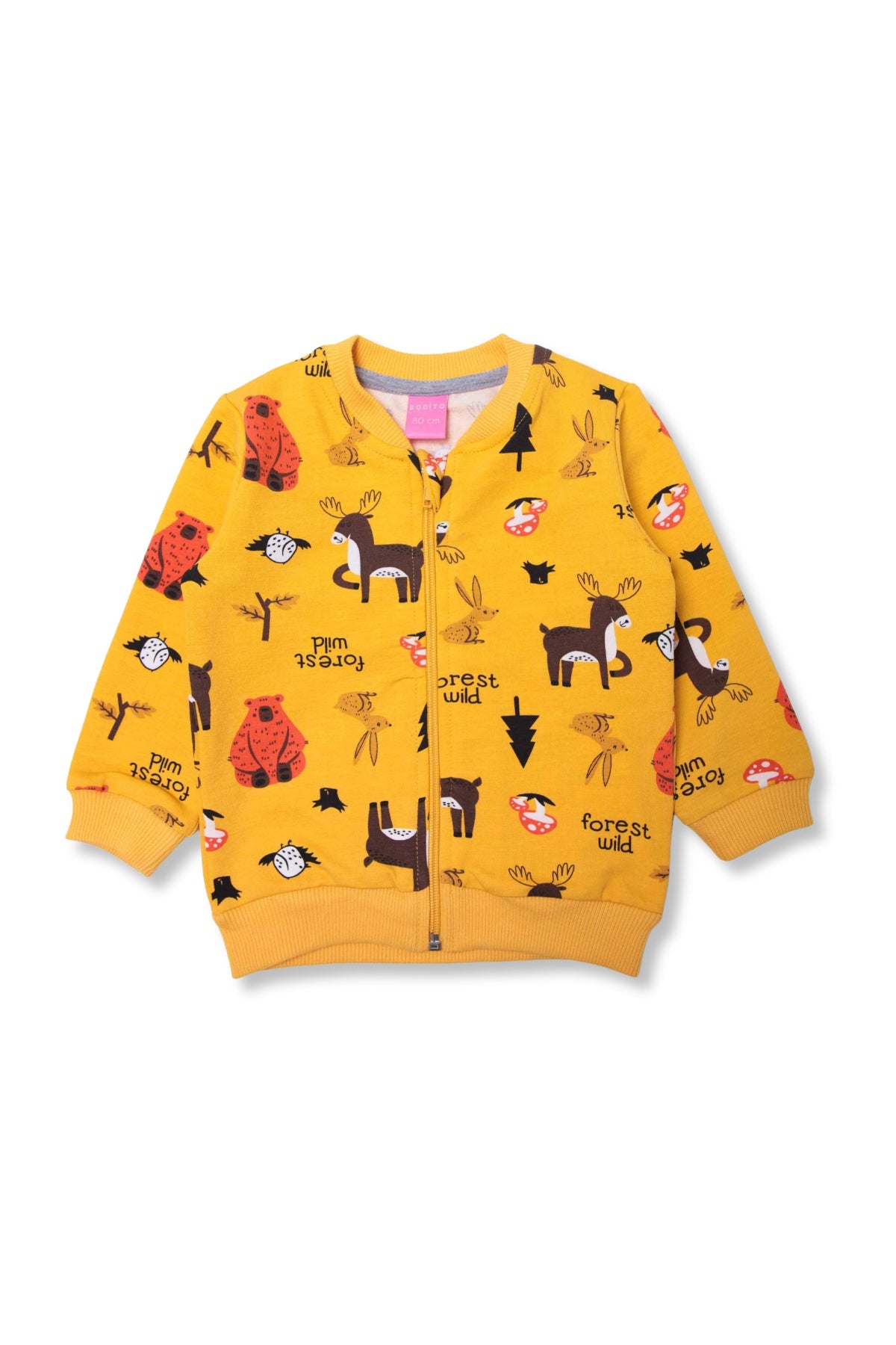 Collection of  in a gallery layout