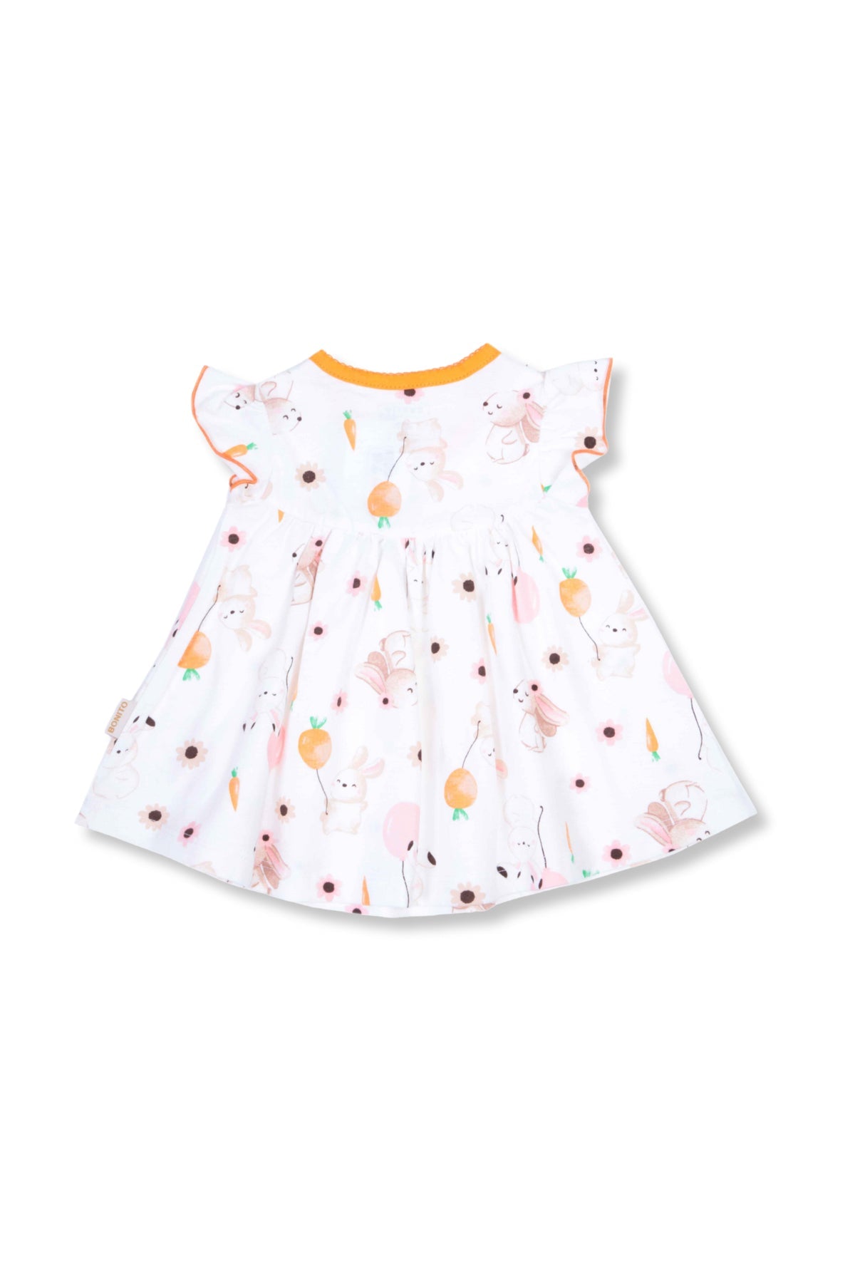 Collection of  in a gallery layout