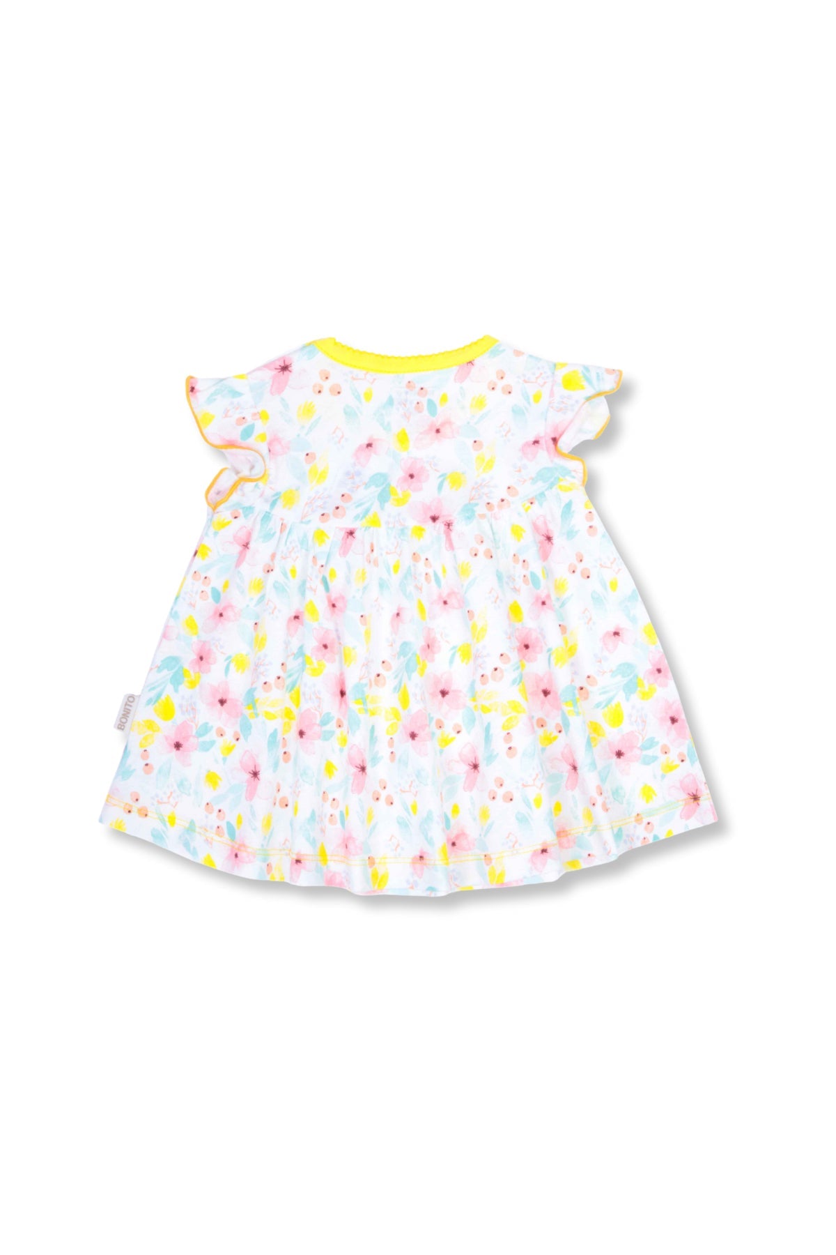 Collection of  in a gallery layout